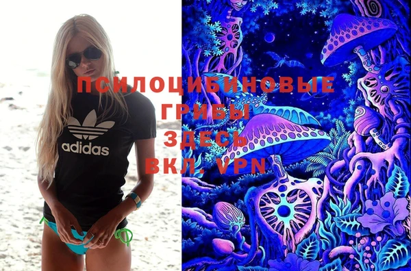 амф Пересвет