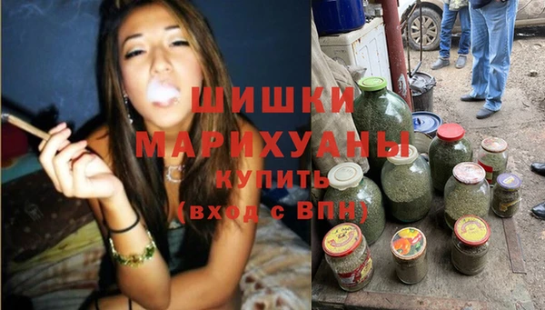 spice Аркадак