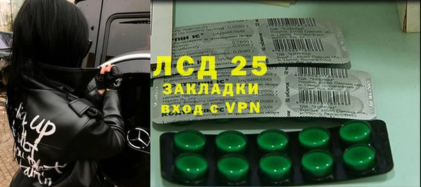 spice Аркадак