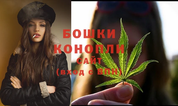 spice Аркадак